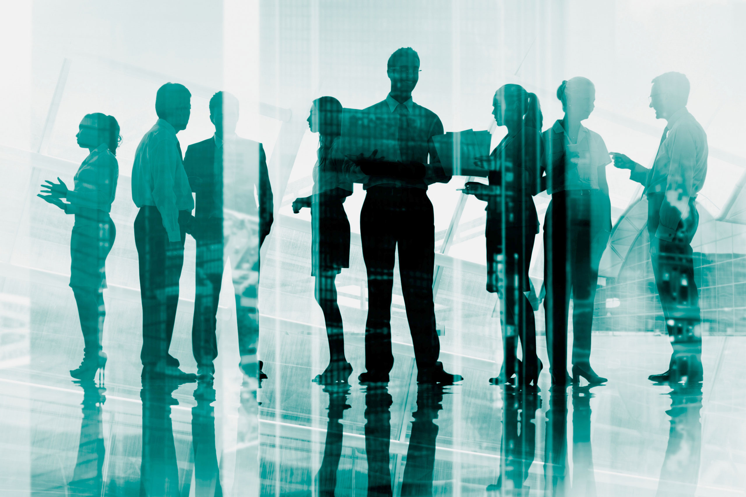 Group of IT professionals